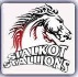 Sialkot Stallions