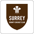 Surrey Lions