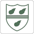 Hampshire Cricket